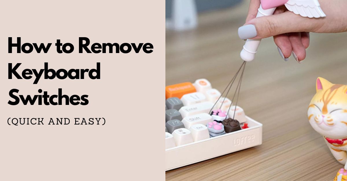 How to Remove Keyboard Switches
